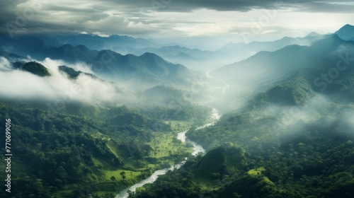 A green rainforest with clouds is viewed from a panoramic scale, its hazy landscapes and birds-eye-view apparent.