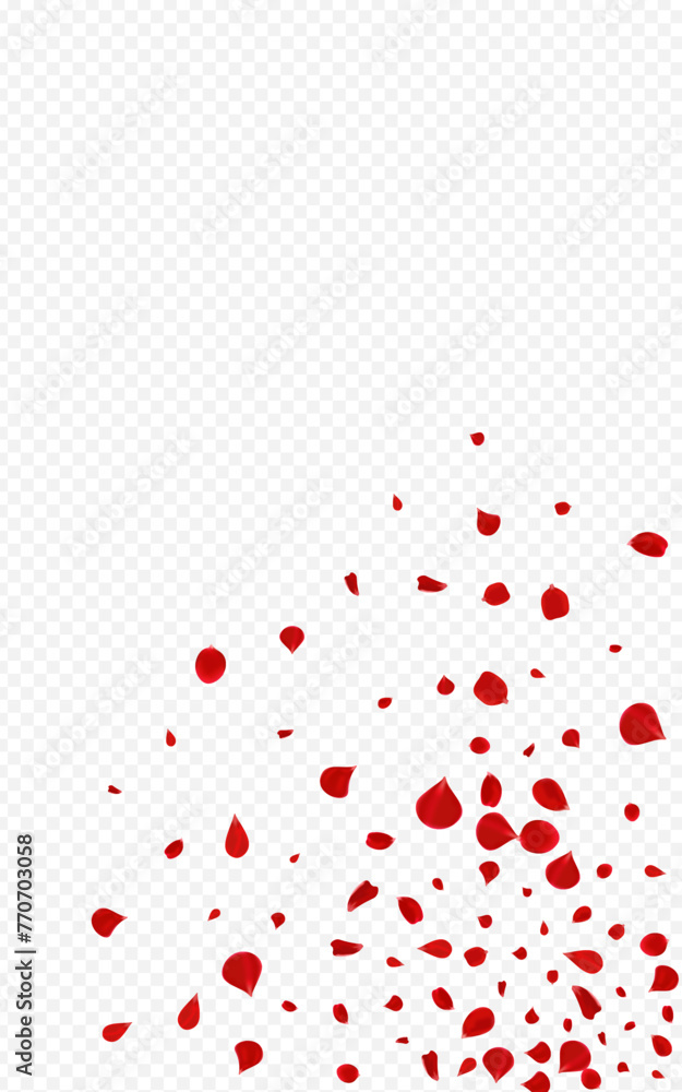 Red_Rose_Petal_Transparent_Background_120.eps Red_Rose_Petal_Transparent_Background_120.eps