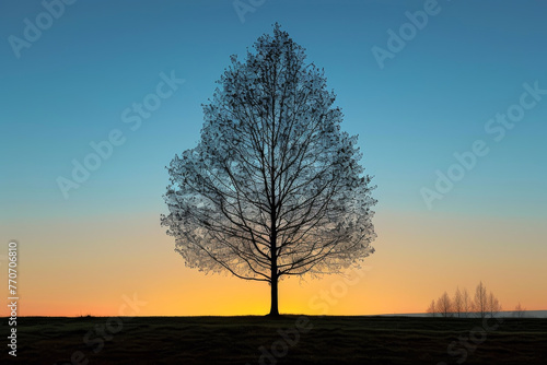 Lone Tree Shining in the Warm Light at Spring Dusk: The Silhouette Evokes the End of the Day and Spring, While Expressing Hope for Renewal and a New Beginning
