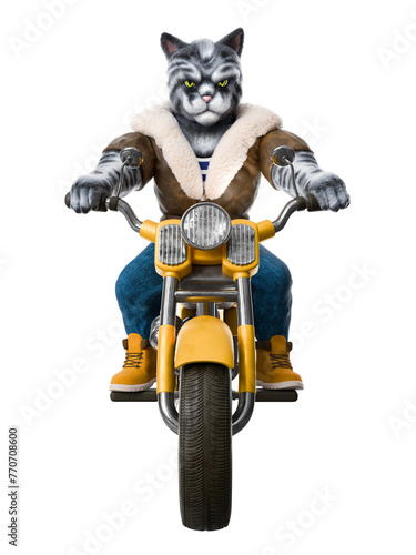 Cool cat in a leather jacket on a motorcycle © Marina