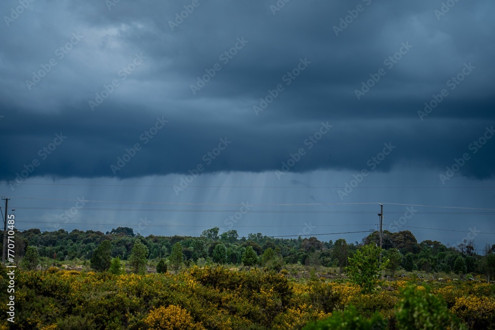 stormy skies over green forest and bushes under a dark sky stormy skies over green forest and bushes under a dark sky