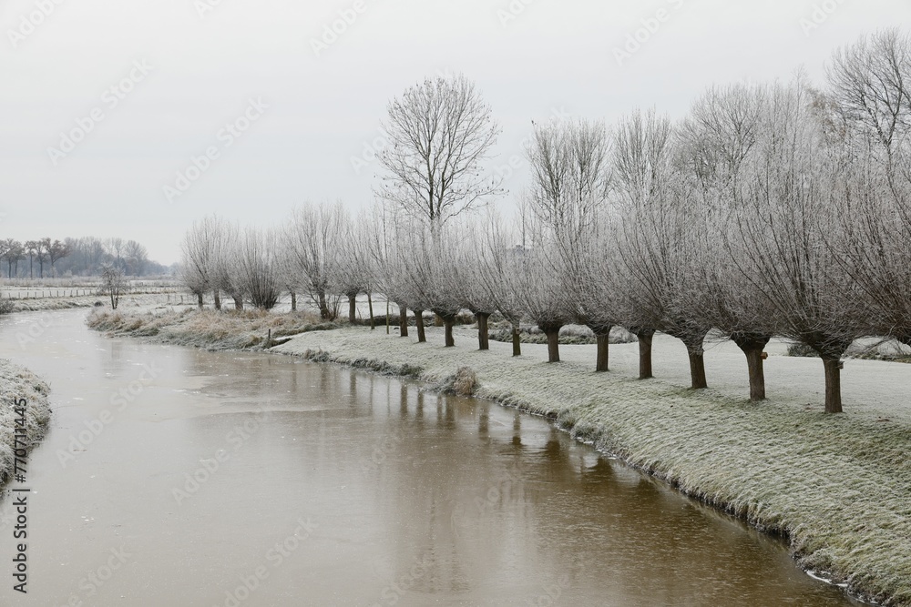 Landscape of a pond surrounded by trees covered in the snow on a gloomy winter day Landscape of a pond surrounded by trees covered in the snow on a gloomy winter day