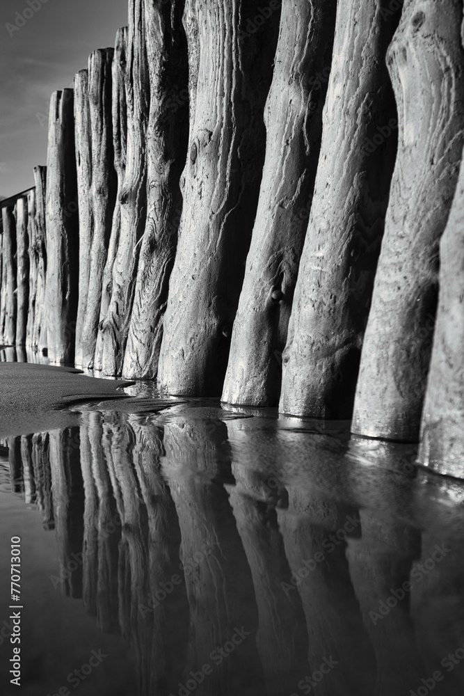 Sandy shoreline, passing by wooden posts - obrazy, fototapety, plakaty 