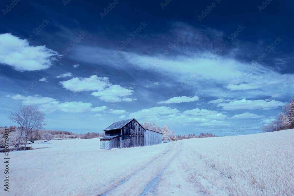 Scenic infrared landscape of a rustic wooden building in the field with lush green grass - obrazy, fototapety, plakaty 