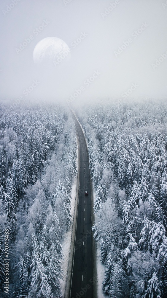 Scenic winding road stretches through a snow-covered forest, with moon in the sky - obrazy, fototapety, plakaty 