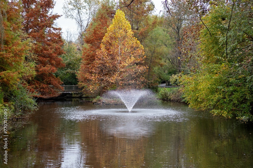 Beautiful shot of a pond with a fountain in an autumn forest - obrazy, fototapety, plakaty 
