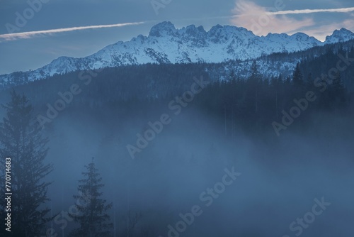 Scenic view of a snowy mountain range covered with a forest on a foggy day