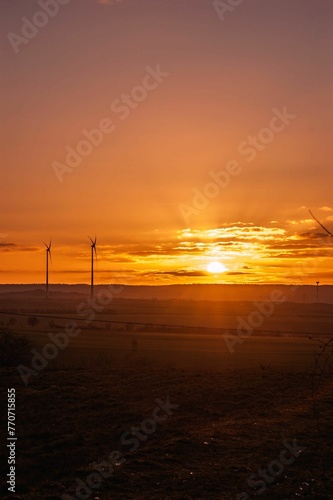 Stunning vertical shot of a golden sunset over an empty rural field, illuminated by the setting sun