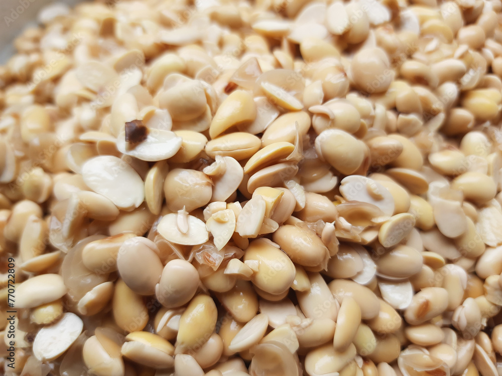 soybeans with the Latin name Glycine max which are the raw material for making soy milk soybeans with the Latin name Glycine max which are the raw material for making soy milk