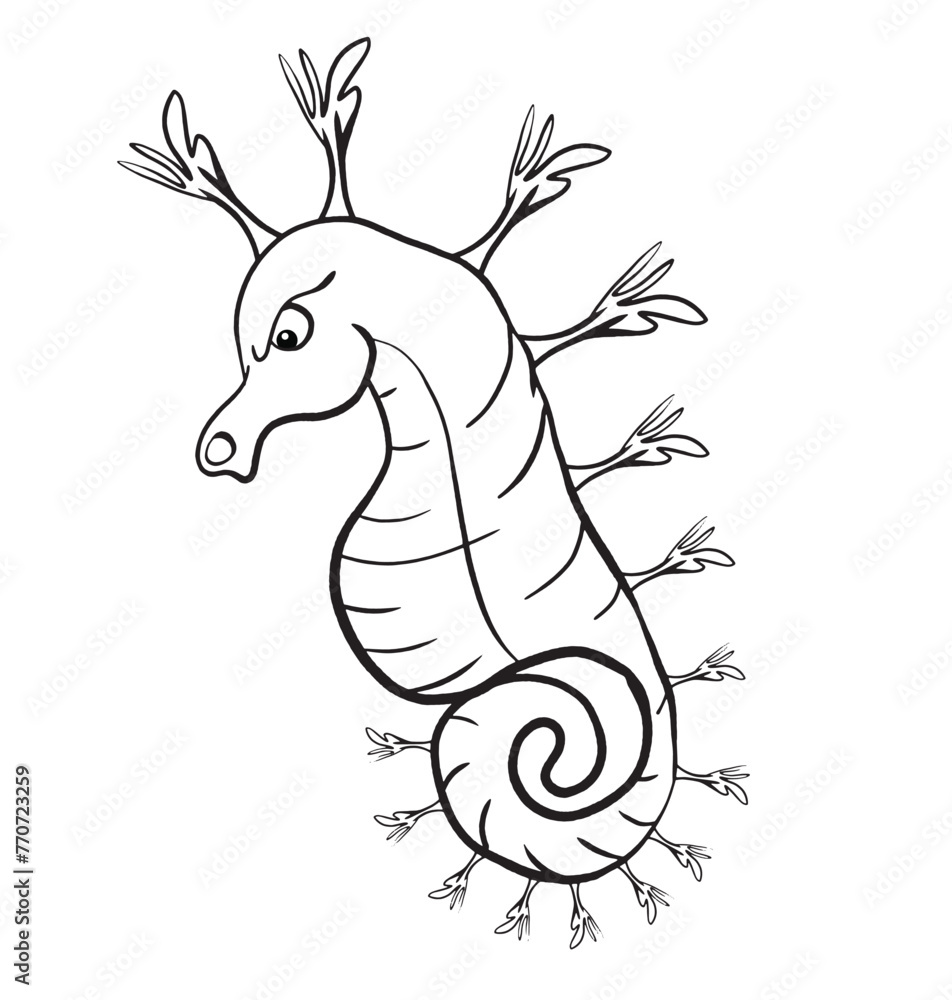 seahorse vector seahorse vector