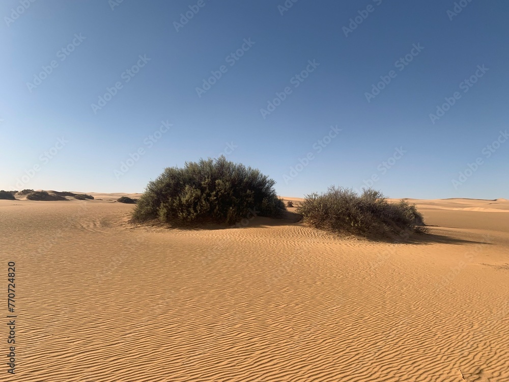 sands in Libyan Desert