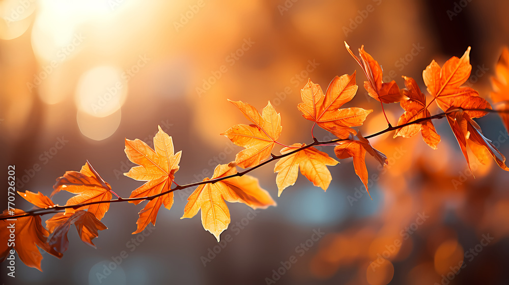 Autumn scenery, autumn scenery with falling maple leaves Autumn scenery, autumn scenery with falling maple leaves