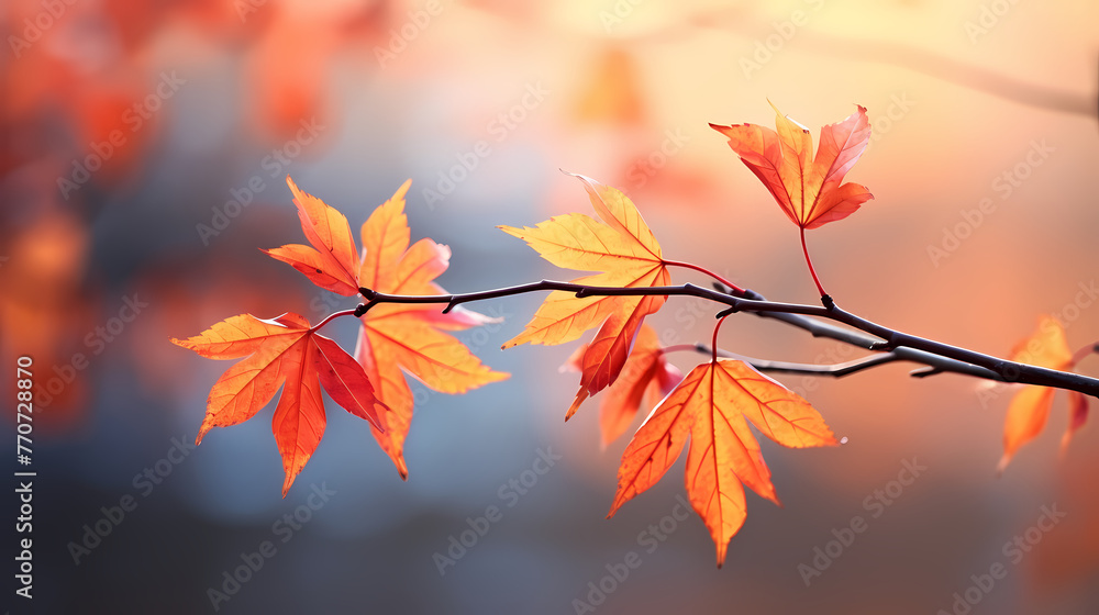 Autumn scenery, autumn scenery with falling maple leaves Autumn scenery, autumn scenery with falling maple leaves