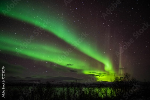 Wallpaper Mural Stunning aurora borealis illuminating the night sky above the rural landscape. Torontodigital.ca