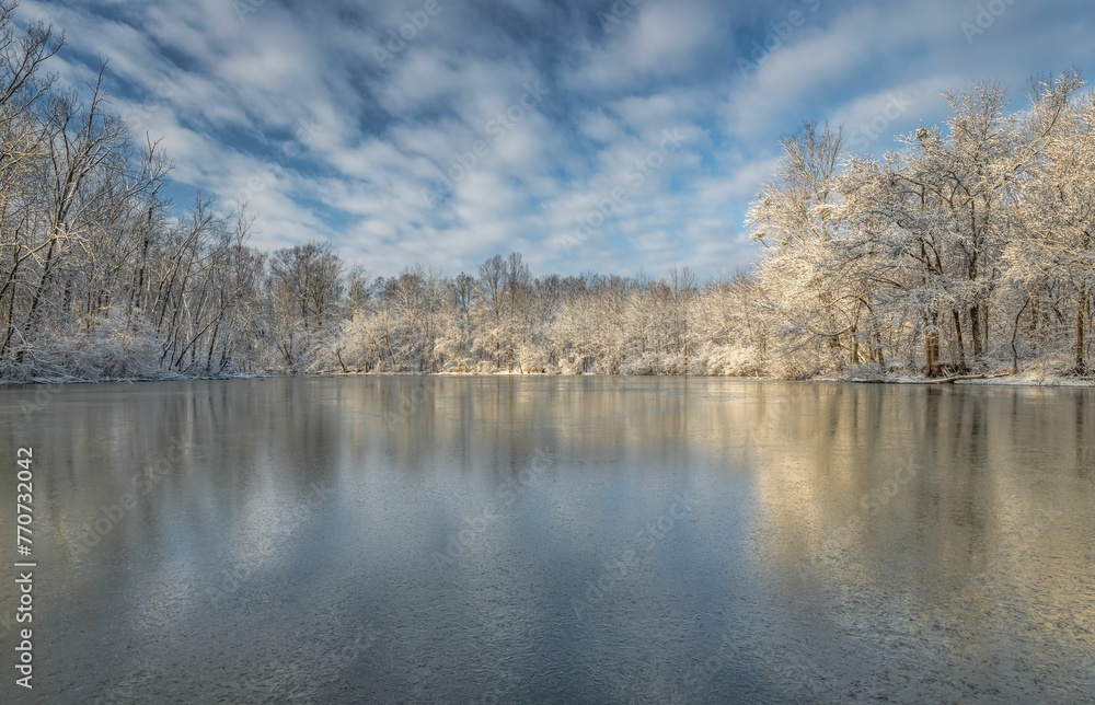 Frozen Caperton Swamp Louisville Kentucky at sunrise.