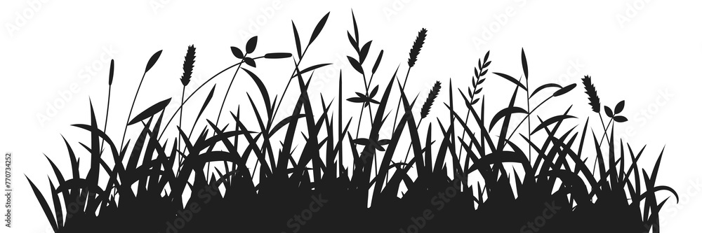 Drawn wild grass isolated on white background, vector design	 - obrazy, fototapety, plakaty 