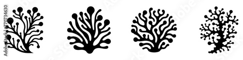 Seaweed icon. Set of black algae icons. Sea plants icon isolated on white