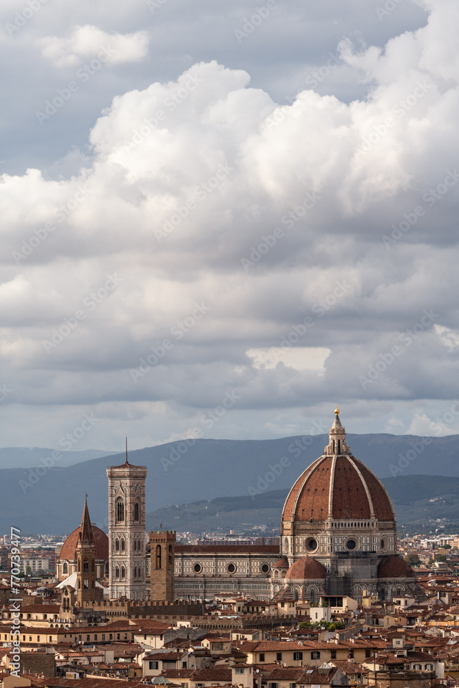 View of Florence and the Duomo Cathedral