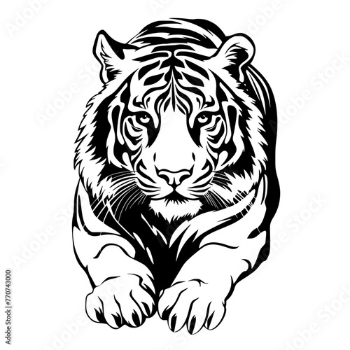 tiger