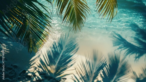 Frame made of various leaves of tropical plants and shadows on the background of the blue water with space for text, Top view