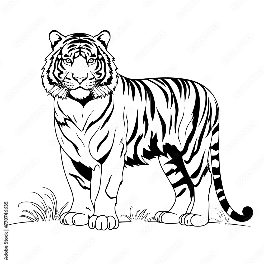 Fototapeta premium tiger