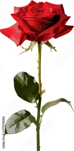Red Rose Flower with Stem and Leaves