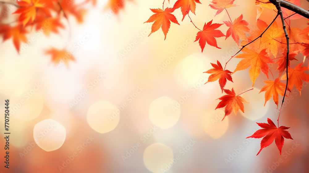 Autumn leaves form a beautiful background Autumn leaves form a beautiful background