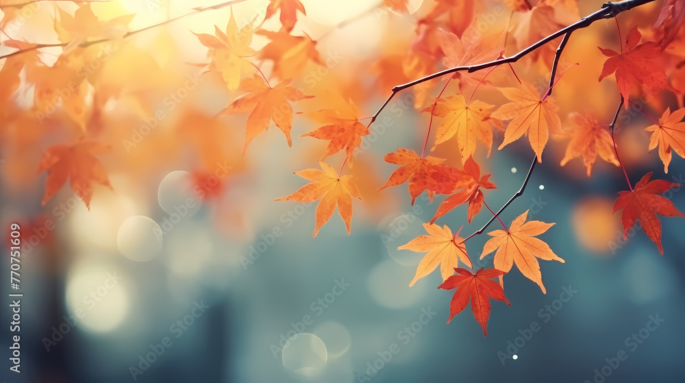 Autumn leaves form a beautiful background