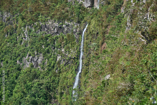 Black River Gorges Park hidden waterfall, the remaining ancient forest with rare species in Mauritius