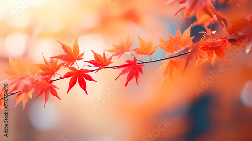Charming autumn scenery