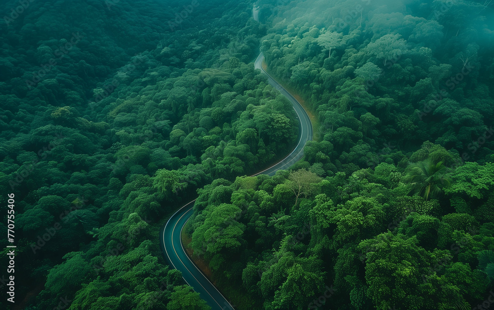 Top view of beautiful curve road surrounded by nature. Generative AI Top view of beautiful curve road surrounded by nature. Generative AI