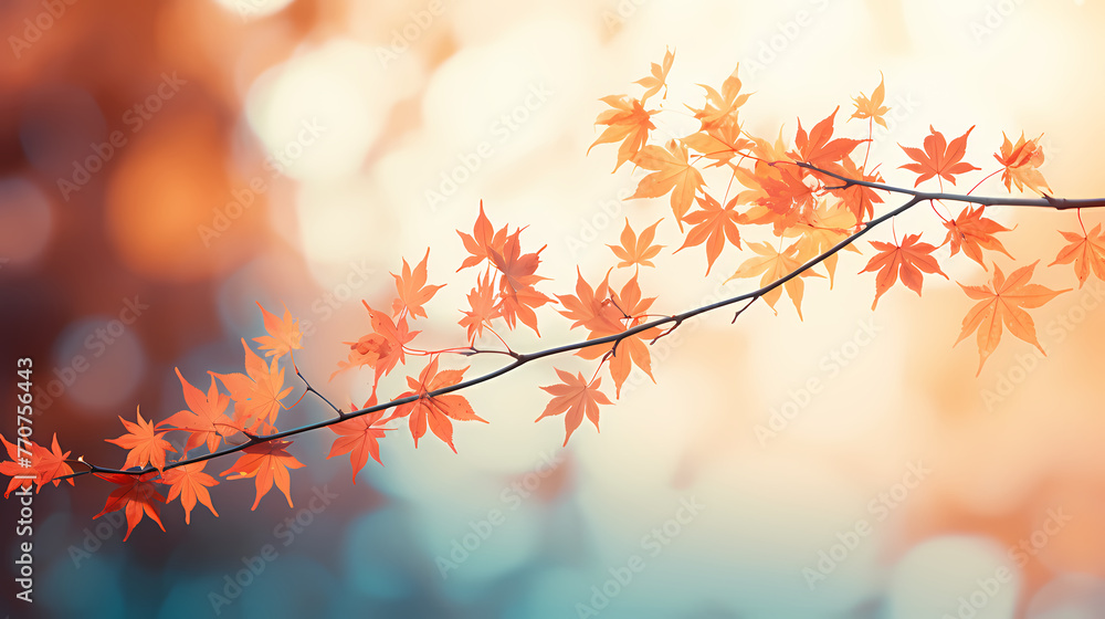 Charming autumn scenery Charming autumn scenery