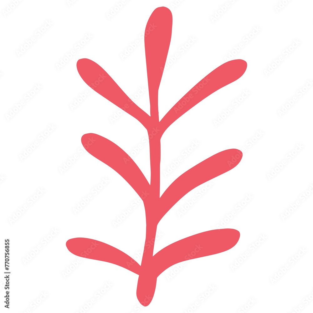 Obraz premium Isolated pink seaweed in transparent background.