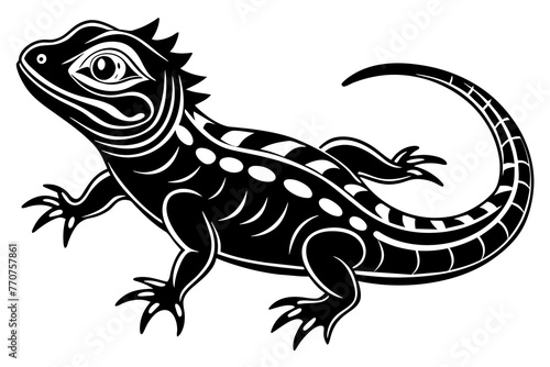  lizard-vector-illustration