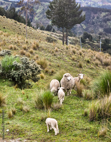 Paisajes Volcán Quilotoa 