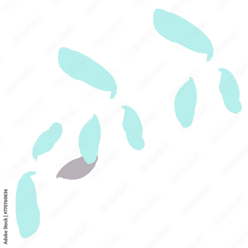 leaves on white background leaves on white background