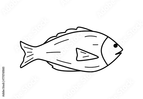 Sea fish or river doodle icon. Vector illustration of a carp, dorado, isolated on white.