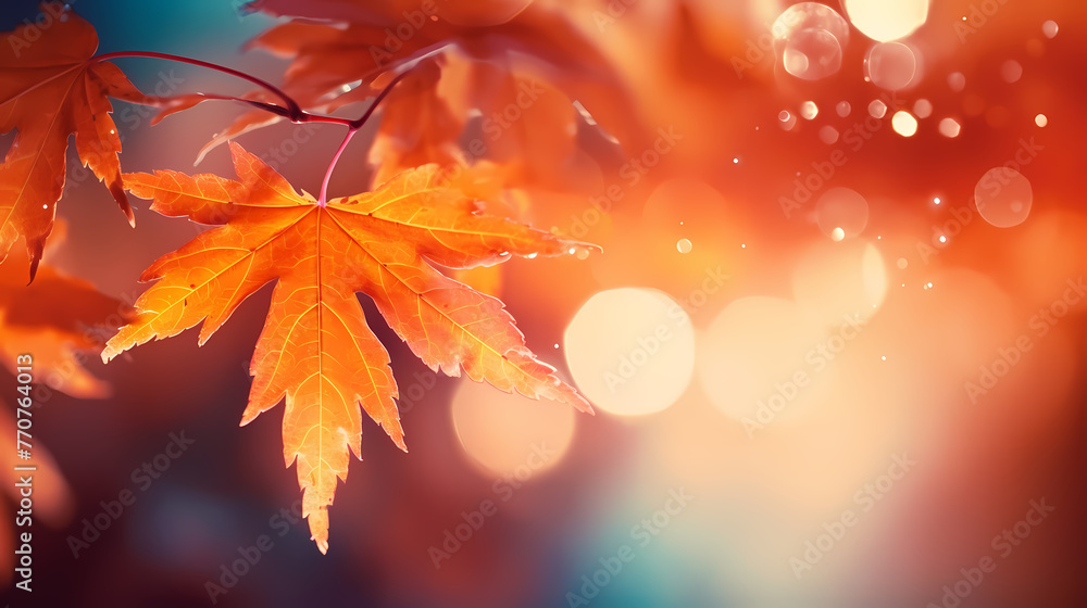 Charming autumn scenery Charming autumn scenery