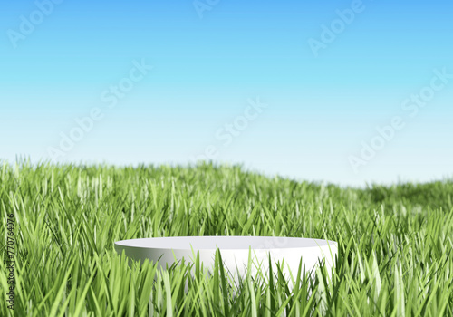Stand product display podium in meadow with spring season. 3D rendering © nawapon