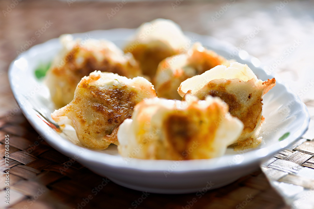 chinese pan fried dumplings
