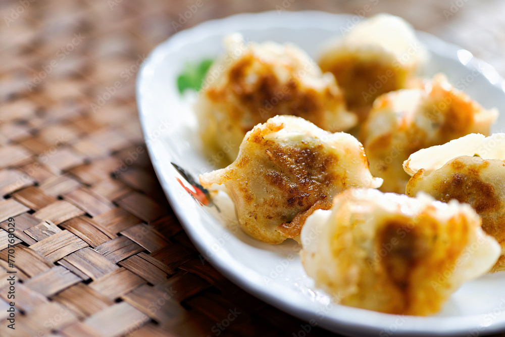 chinese pan fried dumplings