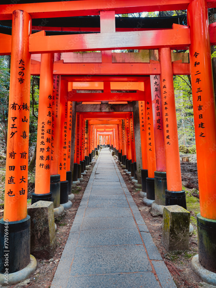Path For Torii Gates In Japan