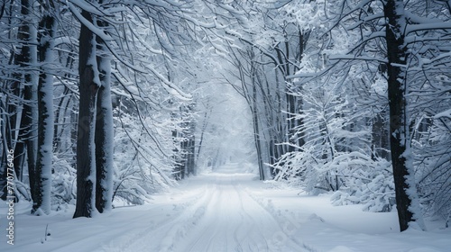 A snowy forest path trees laden with snow a blanketed silence with space for text embodying winters calm