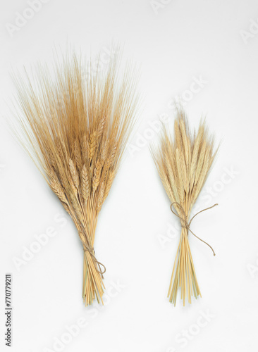 Ears of wheat and rye on a white background. Top view