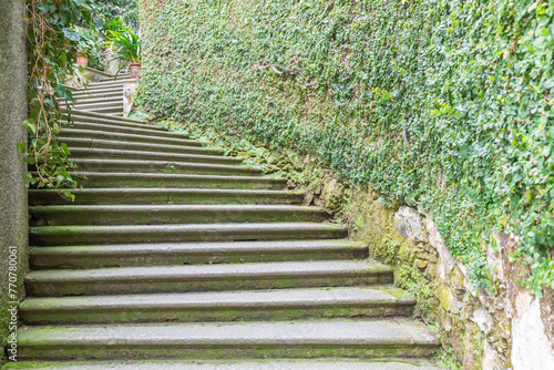 Old staircase in nature. Garden architecture design  green natural path