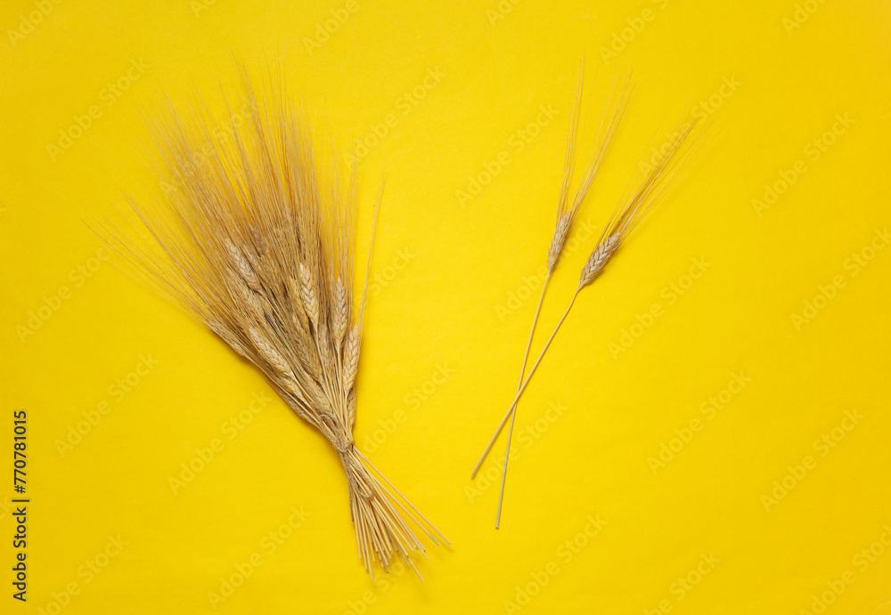 Spikelets of wheat on a yellow background Spikelets of wheat on a yellow background