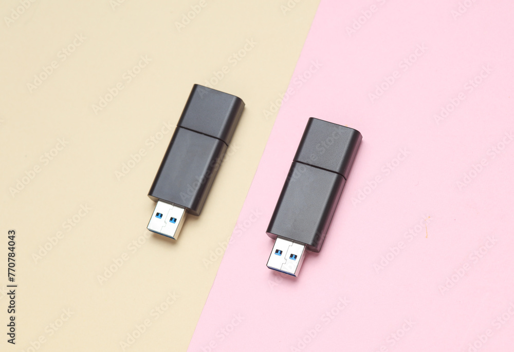 Two black USB flash drives on pastel background. Top view Two black USB flash drives on pastel background. Top view