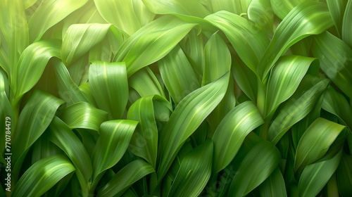 lush green leaves in vibrant close-up showing texture and patterns