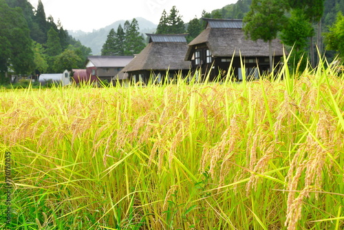 高柳荻ノ島かやぶき環状集落（新潟県） photo