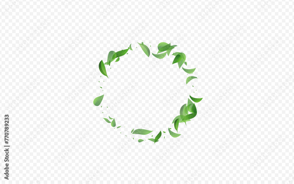 2560x1600gal-02__leif_11_01.eps